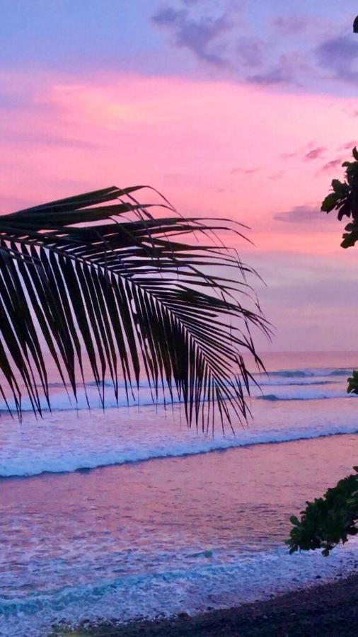 Laola Surf Camp El Sunzal Hotel La Libertad Bagian luar foto